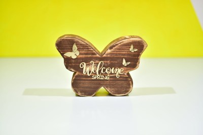 475694162_479347911776762_225002887734102334_n