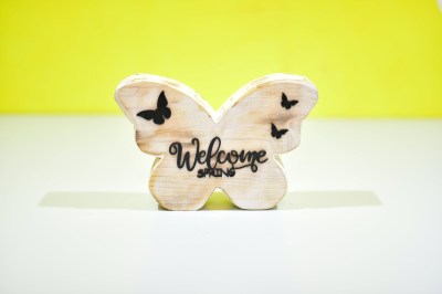 476401927_479147535129857_8212830707069901337_n