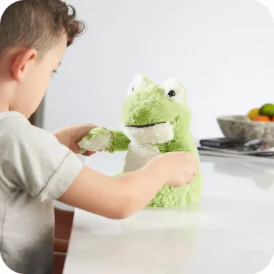 Warmies_Frog7_fbd5a9e0-8a97-42c2