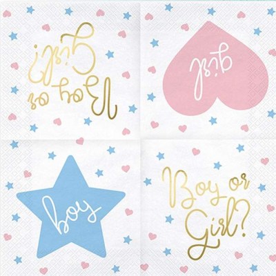 chartopetsetes-_boy-or-girl_-gia-gender-reveal-_20-tem__2