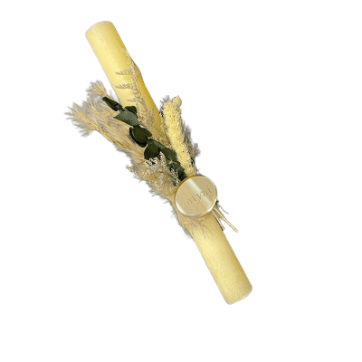 εικόνα_Viber_2025-03-04_21-04-37-209